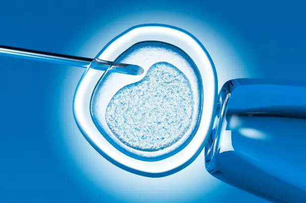 Artificial Embryos