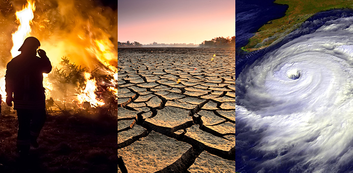 ten ways to help stop climate change