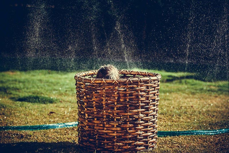 Play outside