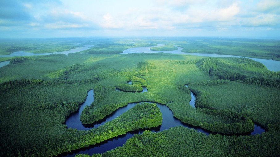 Congo Basin