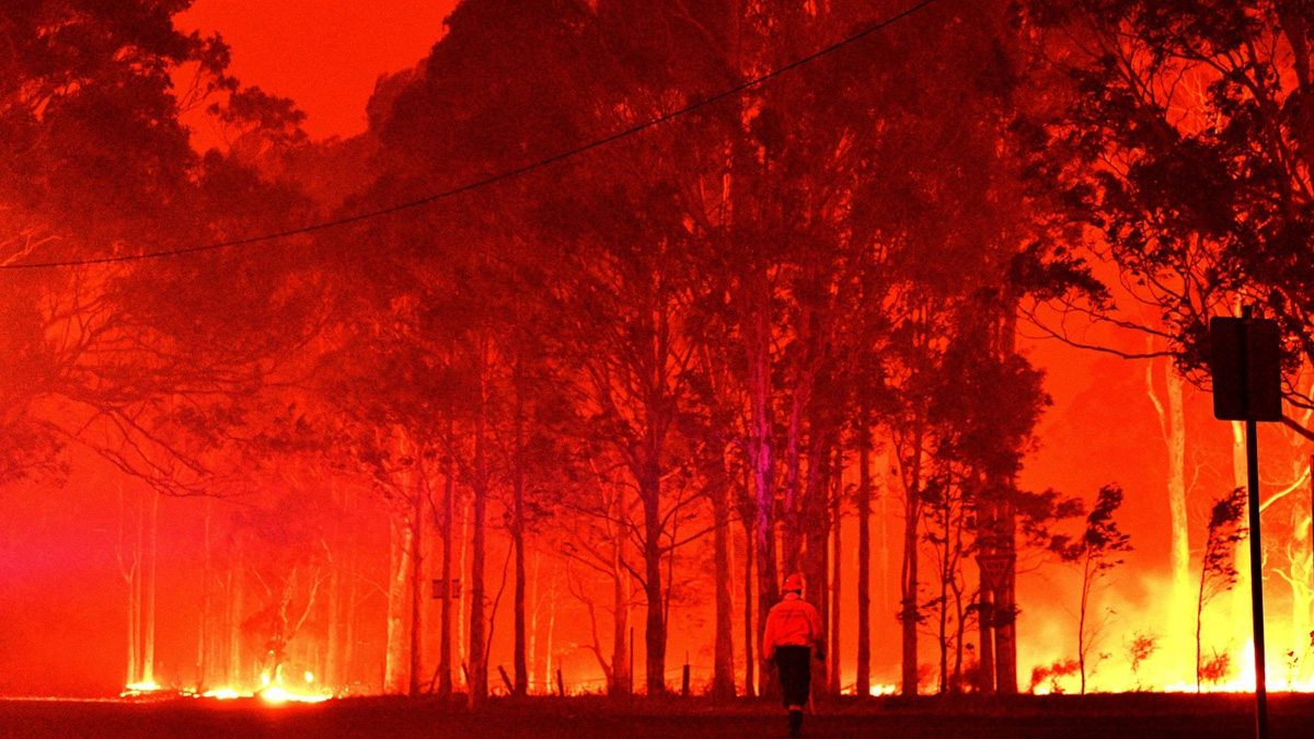 10 Simple Steps to Bushfire Preparation