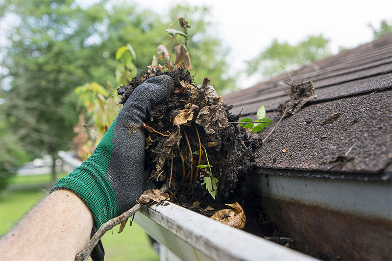 clean gutter