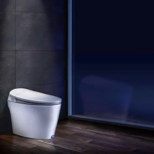 Dyconn Tankless Smart Toilet