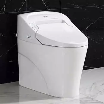 Ove Decors Smart Toilet