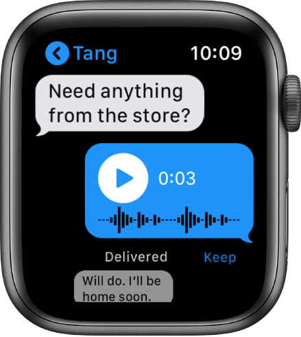 apple watch voice message