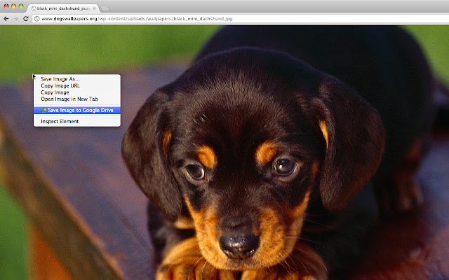 Save to Google Drive Chrome Extension Addon