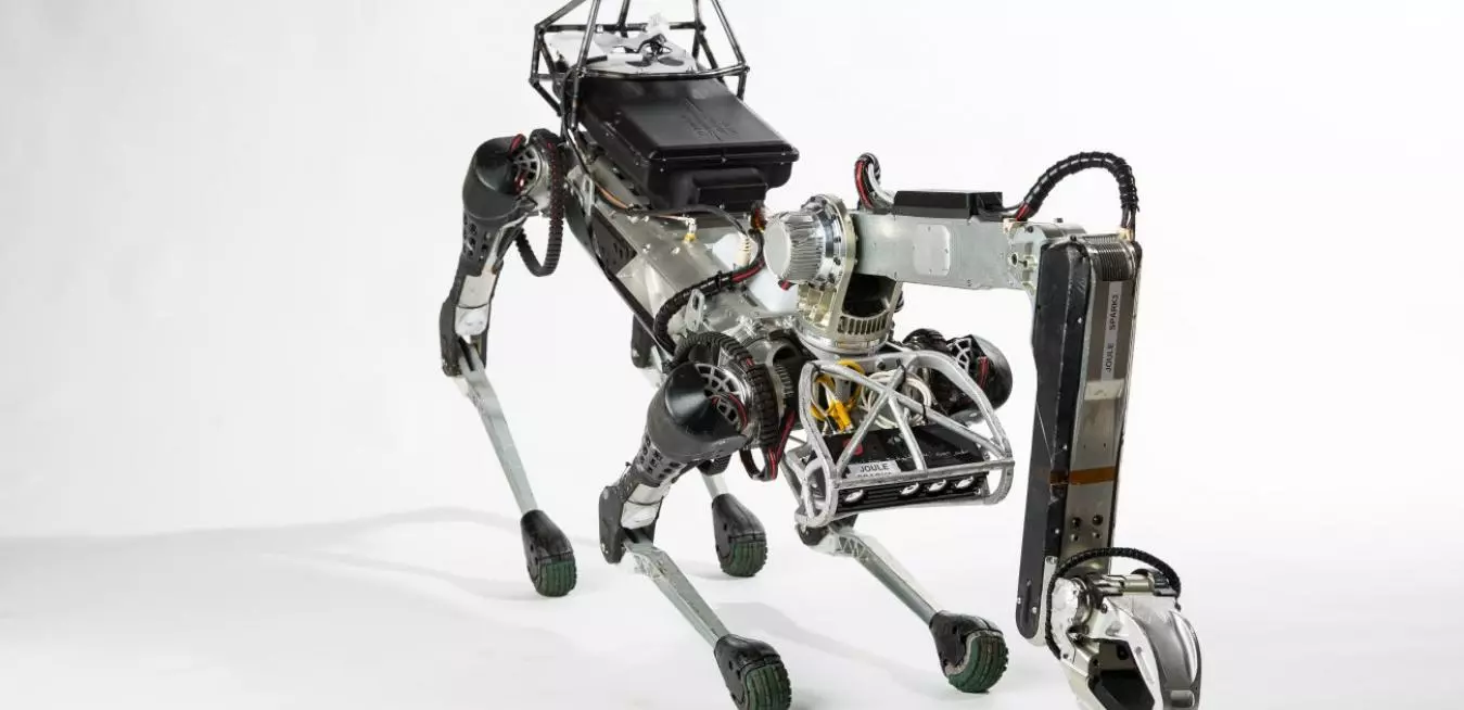 trained robot dogs to detect cancer