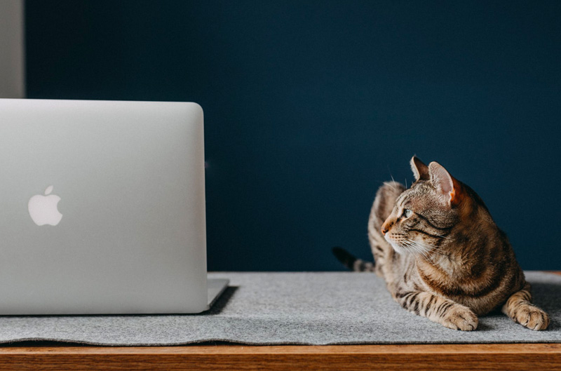 21 Useful Mac Tips