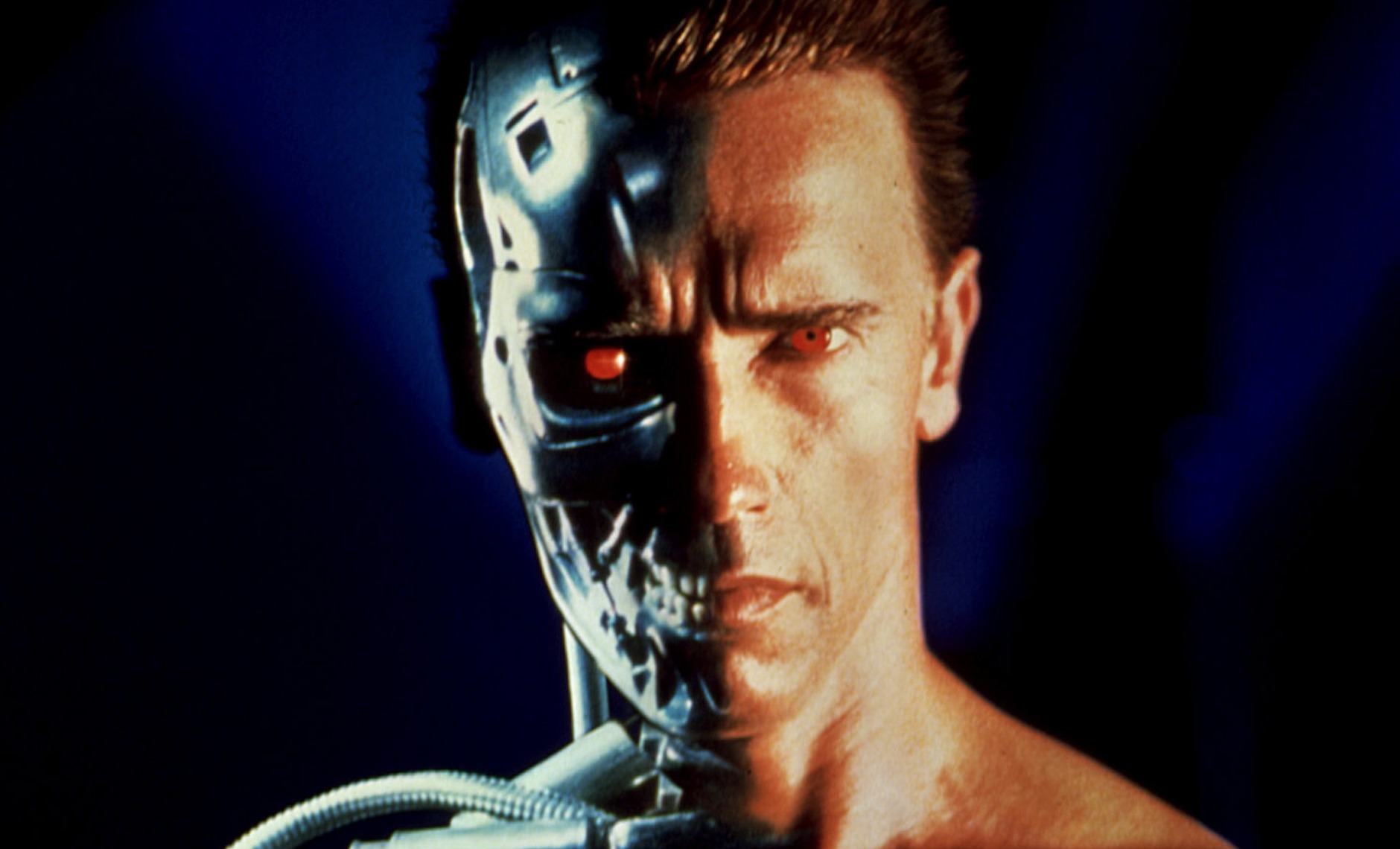 The Terminator